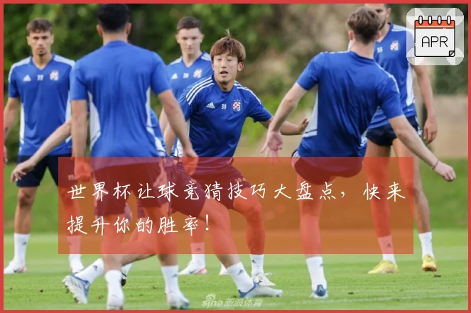 世界杯让球竞猜技巧大盘点，快来提升你的胜率！