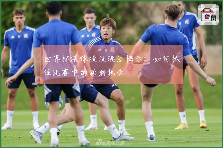 世界杯滚球投注玩法揭示：如何抓住比赛中的获利机会