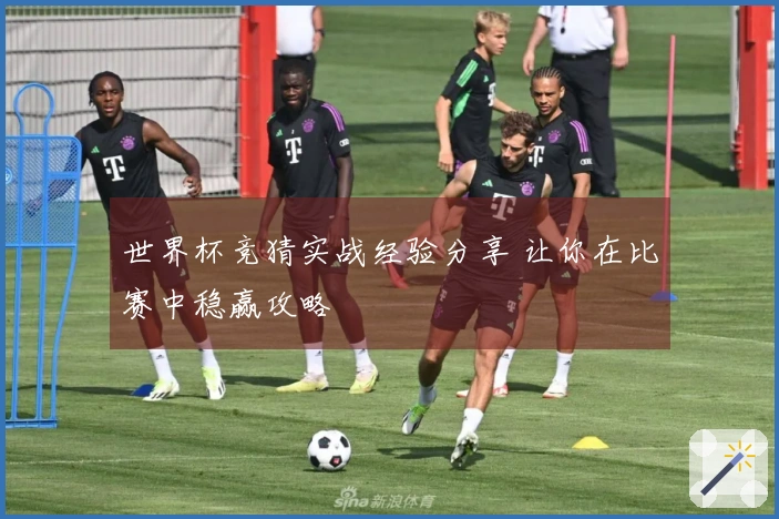 世界杯竞猜实战经验分享 让你在比赛中稳赢攻略