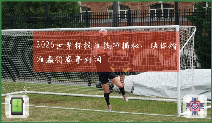 2026世界杯投注技巧揭秘，助你精准赢得赛事利润